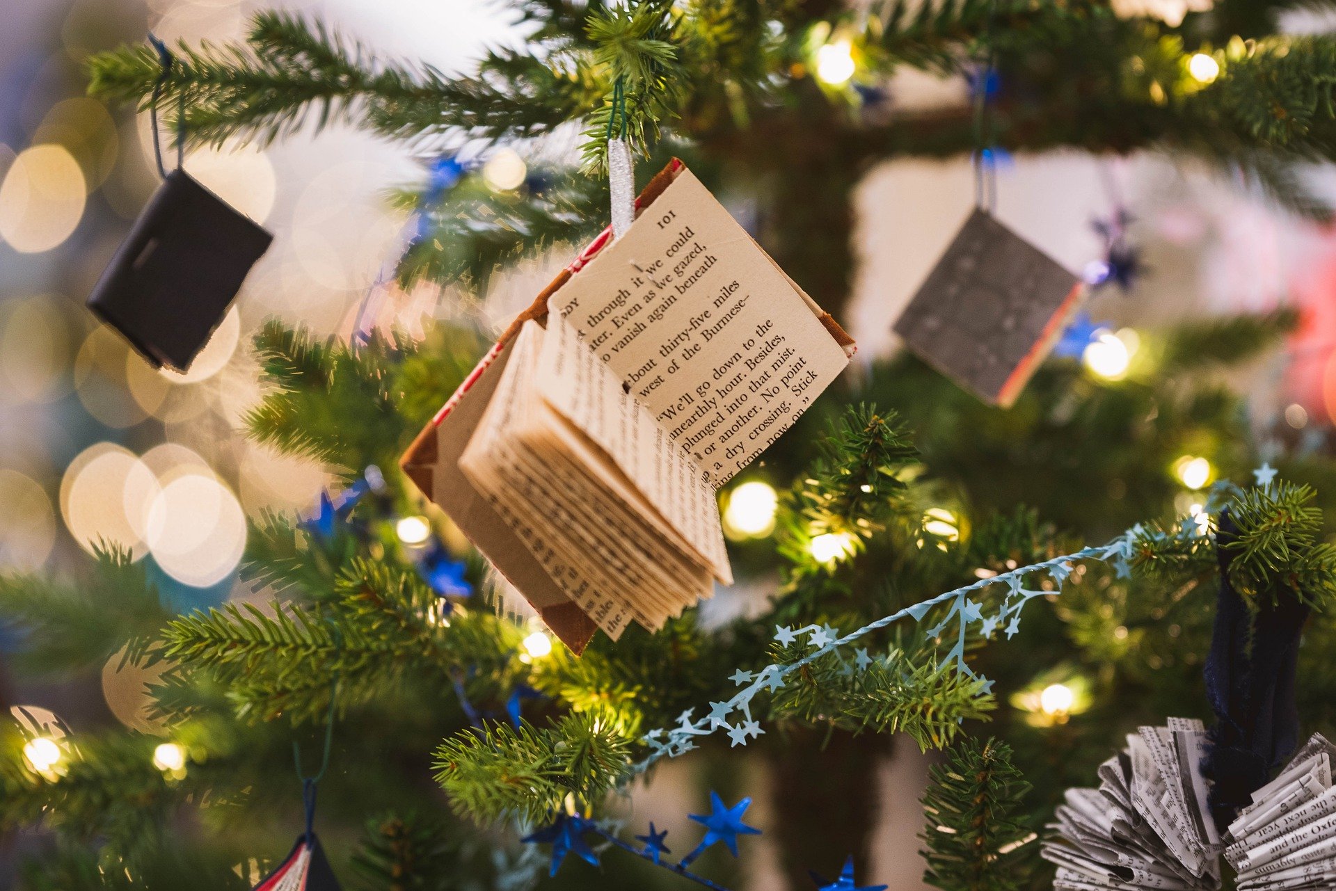 Marche De Noel La Fare Les Oliviers 2021 Opération "donnez une seconde vie à votre sapin" - La Fare les Oliviers
