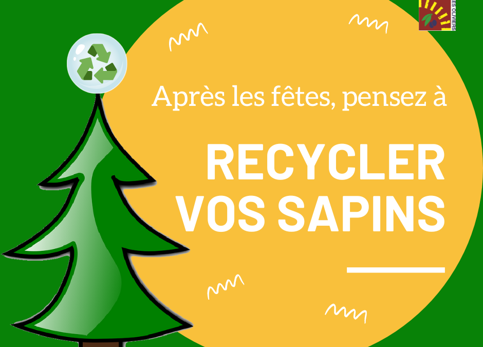 Après les fêtes, pensez à recycler vos sapins !