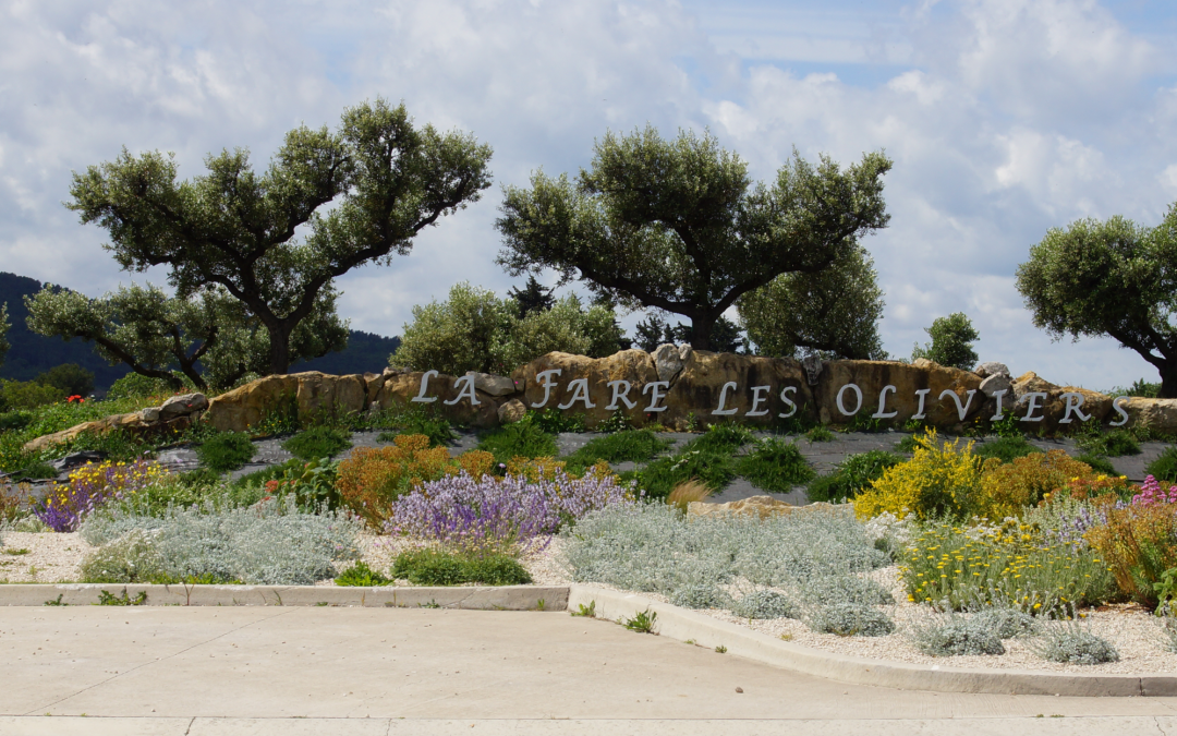🚛 𝗖𝗢𝗡𝗩𝗢𝗜 𝗘𝗫𝗖𝗘𝗣𝗧𝗜𝗢𝗡𝗡𝗘𝗟 𝗜𝗧𝗘𝗥 - La Fare les Oliviers