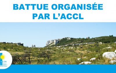 Battue de chasse – commune de Lançon-Provence
