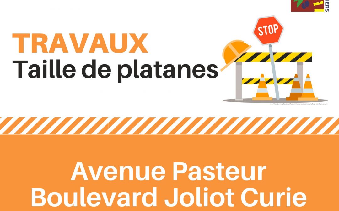 Travaux – taille de platanes, avenue Pasteur et boulevard Joliot Curie
