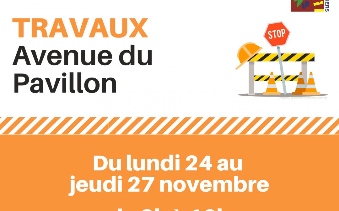 Travaux : avenue du Pavillon