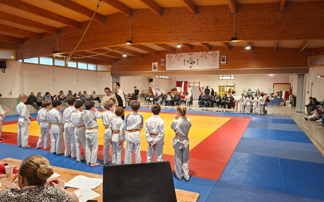 Le tournoi de Noël du Judo Club Farenc