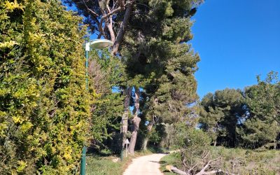 Intempéries – fermeture du chemin de Favier à la Pomme de Pin