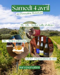 Atelier taille d'olivier @ Domaine Roustan