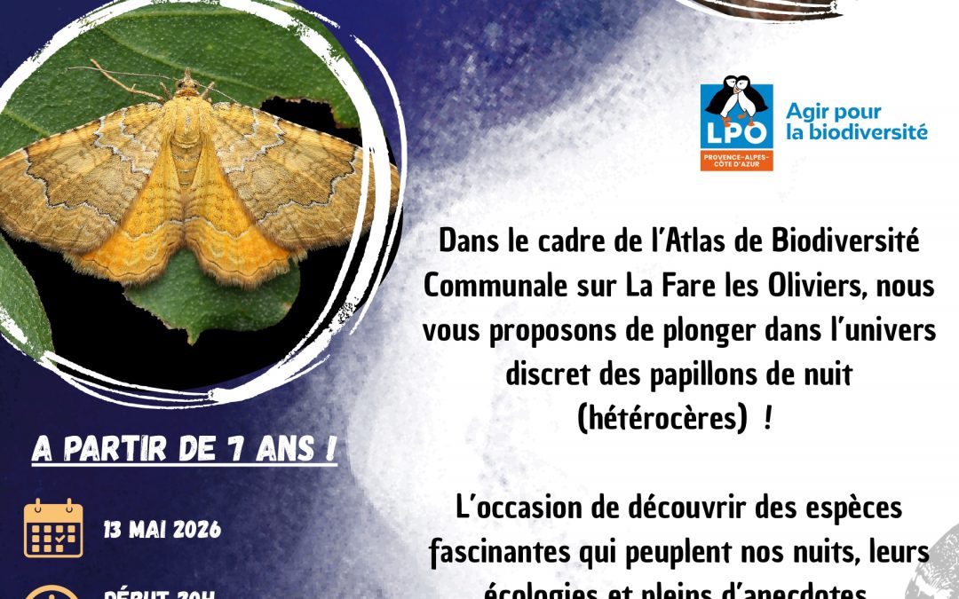 Atlas de la Biodiversité Communale (ABC) – une première action pour découvrir la biodiversité !