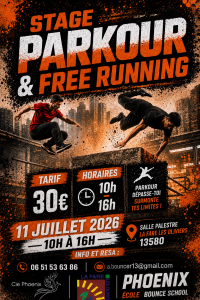 Stage parkour & free running @ Salle Palestre