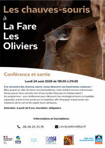 Les chauves -souris à la Fare les Oliviers @ La Fare les Oliviers