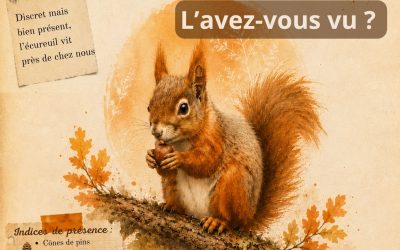 Atlas de la biodiversité communale – avis de recherche