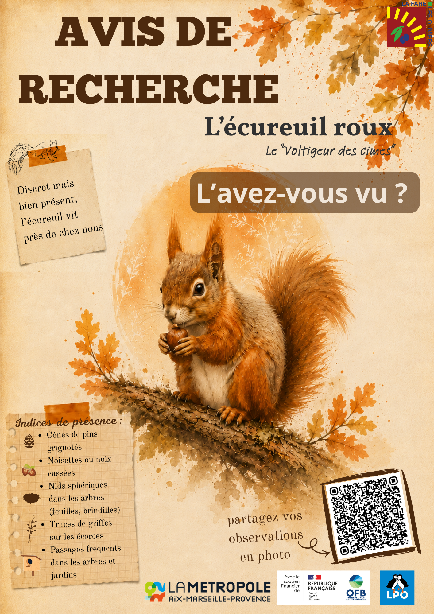 avis-recherche-ecureuil