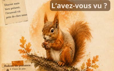 Atlas de la biodiversité communale – avis de recherche