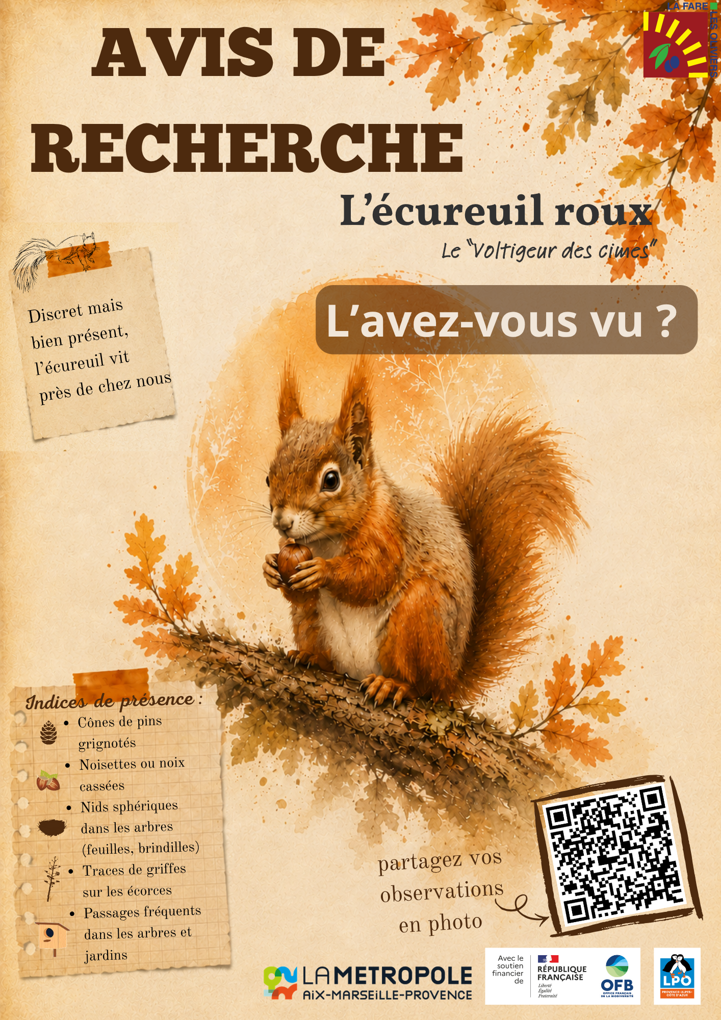 avis-recherche-ecureuil2