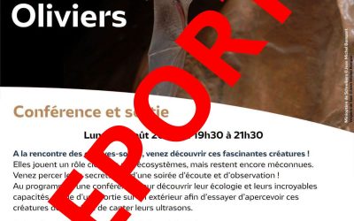 Intempéries – report de la sortie découverte des chauve-souris