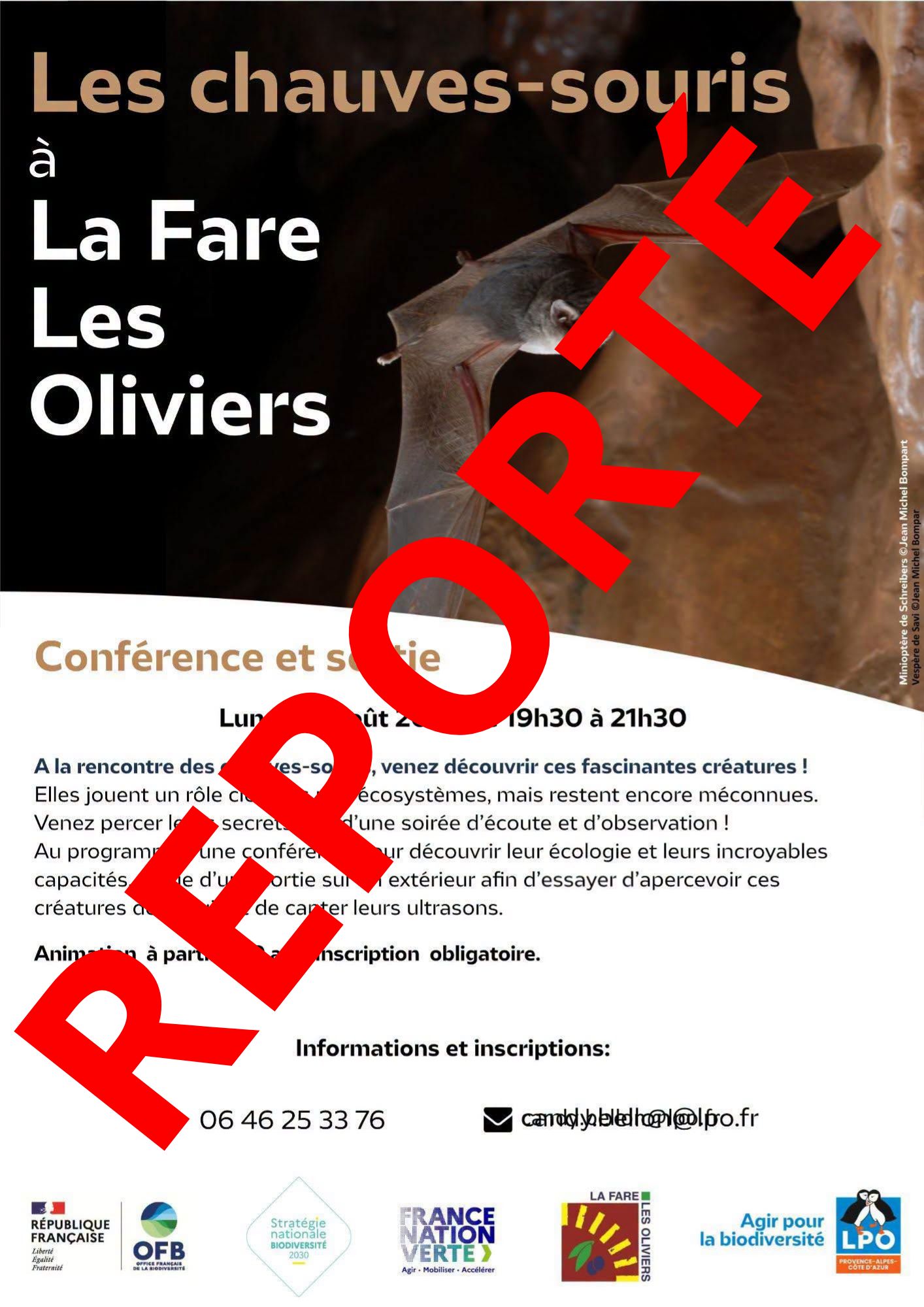report-nuit-chauve-souris