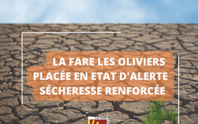 Sécheresse 2026 – La Fare les Oliviers passe en état d&rsquo;alerte renforcée