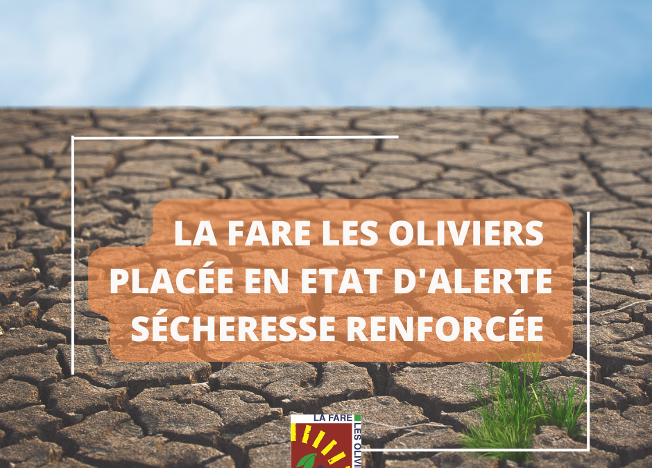 Sécheresse 2026 – La Fare les Oliviers passe en état d&rsquo;alerte renforcée