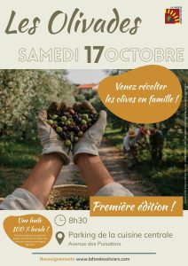 Récolte des olives communales @ Parking cuisine centrale
